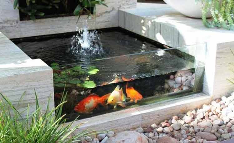 kolam ikan halaman rumah