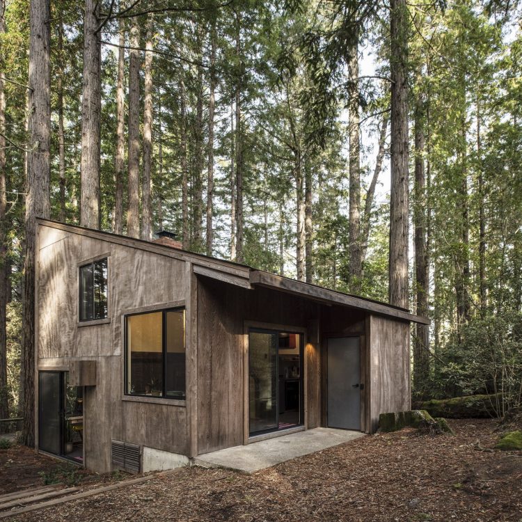 rumah kayu di hutan