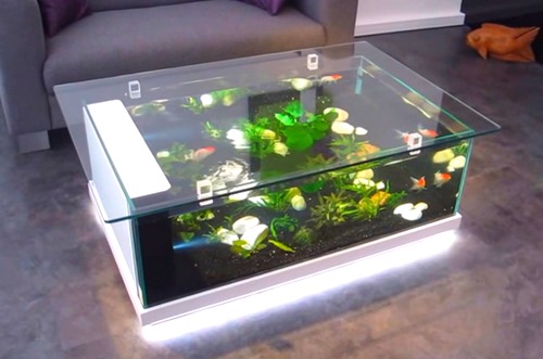 meja sekaligus aquarium
