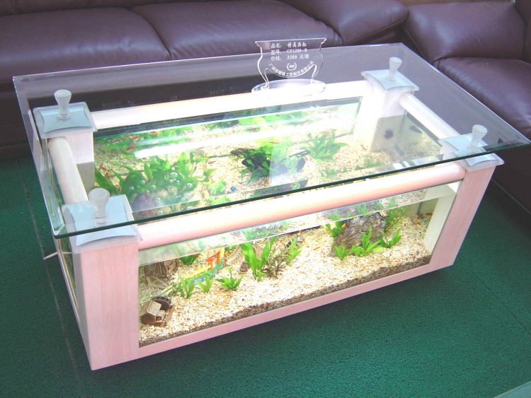 tinggi meja aquarium arwana